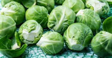 Arka plan üzerine bir fincan taze Bruxelles demet lahanası