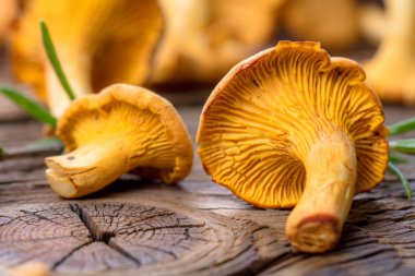 Gıda arka plan kopya alanı ile