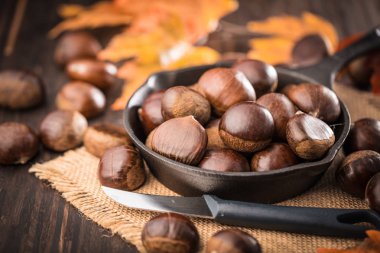 kopya alanı ile Noel tebrik kartı