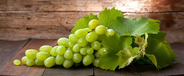 Wine Grapes Close — Stock Photo, Image