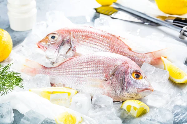 Marisco Cru Bream Peixe Dorado Gelo Mercado Com Espaço Cópia — Fotografia de Stock