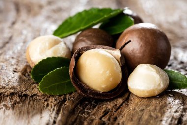 Macadamia fıstığı arka plan üzerinde