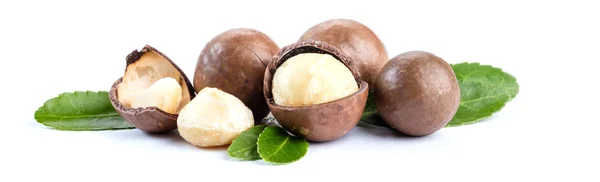 Macadamia Noten Achtergrond — Stockfoto