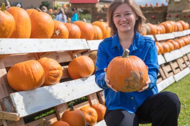 Turuncu kabak çiftçi Market Almanya. Hasat ve Şükran kavramı