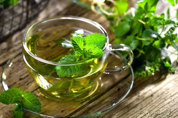 Caldo Con Foglie Menta — Foto Stock