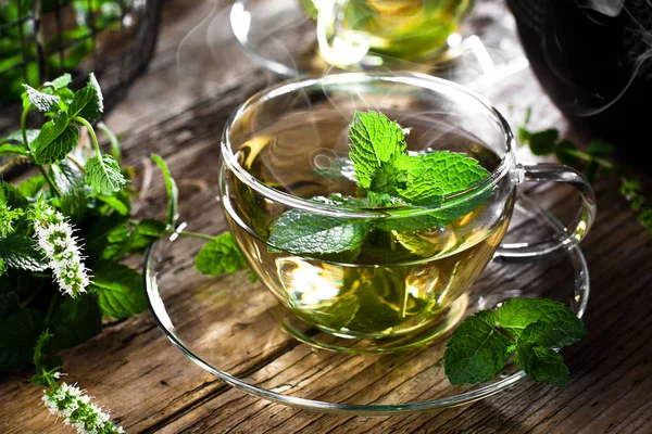 Teh Panas Dengan Daun Mint — Stok Foto