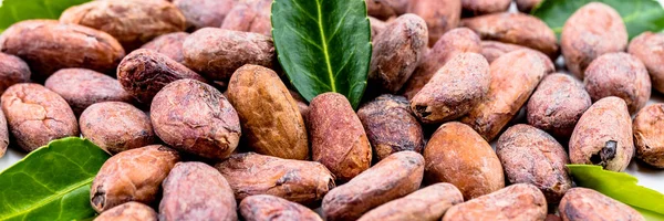 Cacaobonen Met Blad Geïsoleerd Een Witte Achtergrond Bovenaanzicht Plat Leggen — Stockfoto