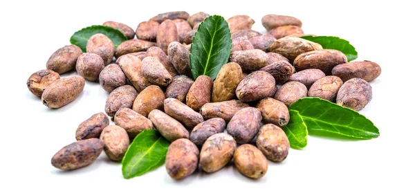 Cacaobonen Met Blad Geïsoleerd Een Witte Achtergrond Bovenaanzicht Plat Leggen — Stockfoto