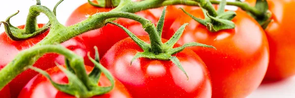 Fresh Ripe Tomatoes Close — Stock Photo, Image