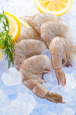 Buz üzerinde taze karides