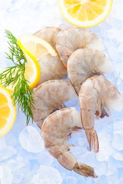 Buz üzerinde taze karides