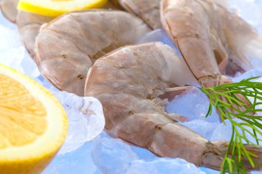 Buz üzerinde taze karides