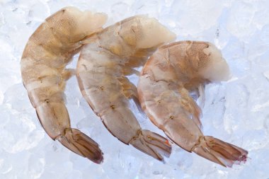 Buz üzerinde taze karides