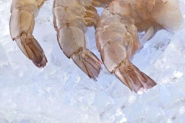 Crevettes Fraîches Sur Glace — Photo