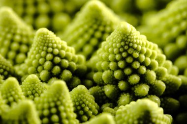 taze romanesco lahana, makro, seçici odak