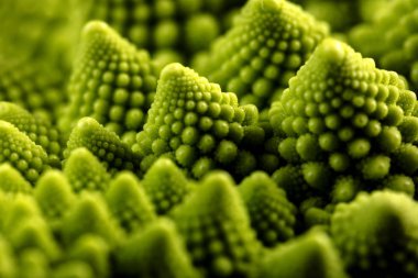 taze romanesco lahana, makro, seçici odak