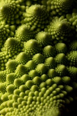 taze romanesco lahana, makro, seçici odak