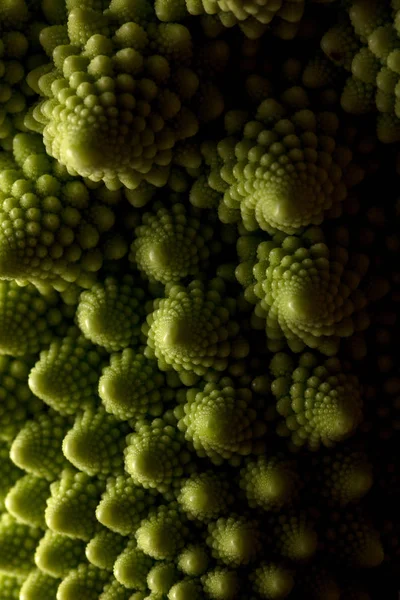 Choux Romanesco Frais Macro Focus Sélectif — Photo