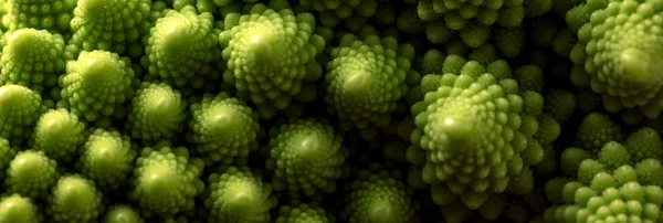 Choux Romanesco Frais Macro Focus Sélectif — Photo