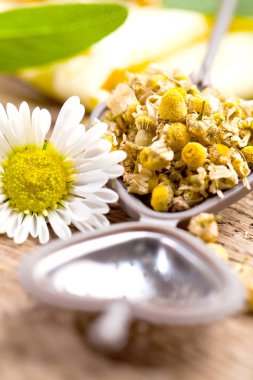 Ahşap arka plan üzerinde kurutulmuş papatya (yakın çekim shot) yığını