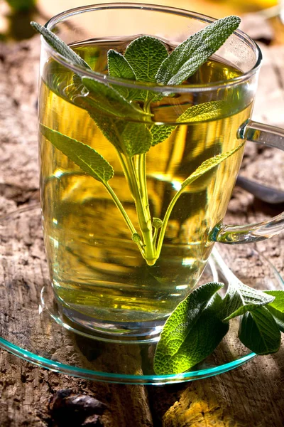 Chá Salva Folhas Salva Infusão Feita Folhas Sálvia Erva Medicinal — Fotografia de Stock