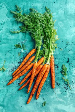 Taze havuç beton arka plan üzerinde yeşil yaprakları ile demet. Sebze. Gıda