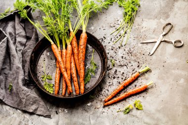 Taze havuç beton arka plan üzerinde yeşil yaprakları ile demet. Sebze. Gıda