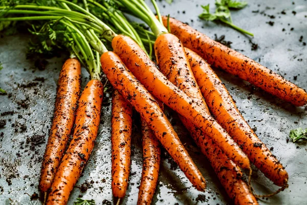 Bunch Fresh Carrots Green Leaves Beton Background Vegetable Food — Stock Photo, Image