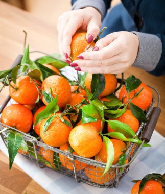 Kadın elleriyle demir sepeti taze clementine kopya alanı ile