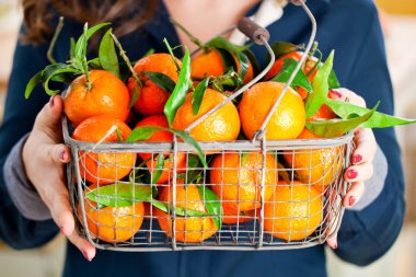 Kadın elleriyle demir sepeti taze clementine kopya alanı ile