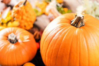 Cadılar Bayramı Balkabağı koyu ahşap arka plan üzerinde