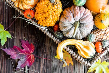 Cadılar Bayramı Balkabağı koyu ahşap arka plan üzerinde