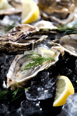 Dilimlenmiş limonla taze açılmış istiridye ezilmiş buzun üstünde fotokopi alanı ile sunuluyor.