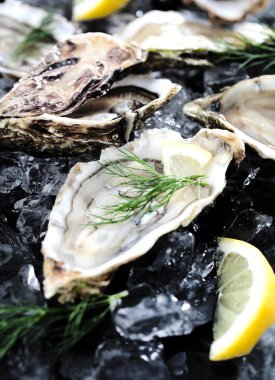 Dilimlenmiş limonla taze açılmış istiridye ezilmiş buzun üstünde fotokopi alanı ile sunuluyor.