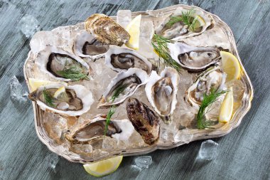 Dilimlenmiş limonla taze açılmış istiridye ezilmiş buzun üstünde fotokopi alanı ile sunuluyor.