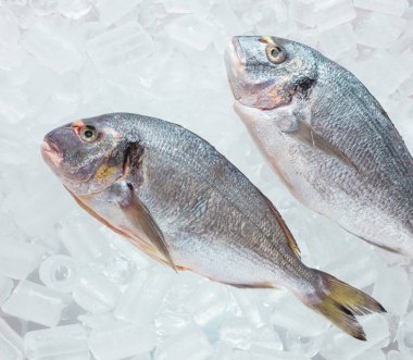 taze çiğ balık, yakın çekim