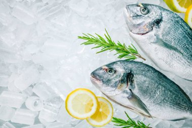 taze çiğ balık, yakın çekim