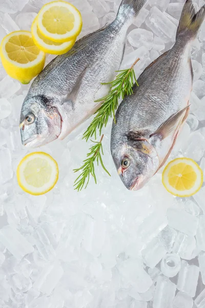 Fresh raw fish, close up — Stock Image Fresh Raw Fish Close Stock Picture