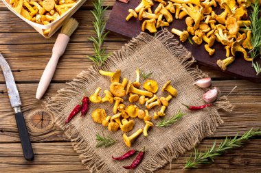 Mantar chanterelles, yakın çekim