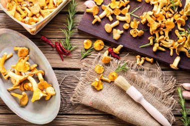 Mantar chanterelles, yakın çekim