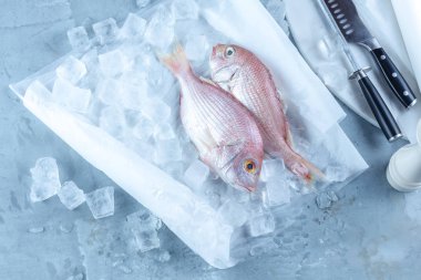 dorado buz kopya alanı, üstten görünüm ile piyasadaki ham çipura balık