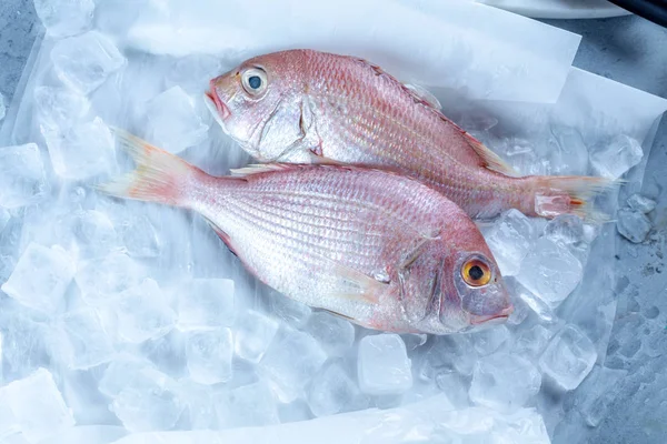 Raw Τσιπούρα Ψάρι Dorado Στον Πάγο Στην Αγορά Διάστημα Αντίγραφο — Φωτογραφία Αρχείου
