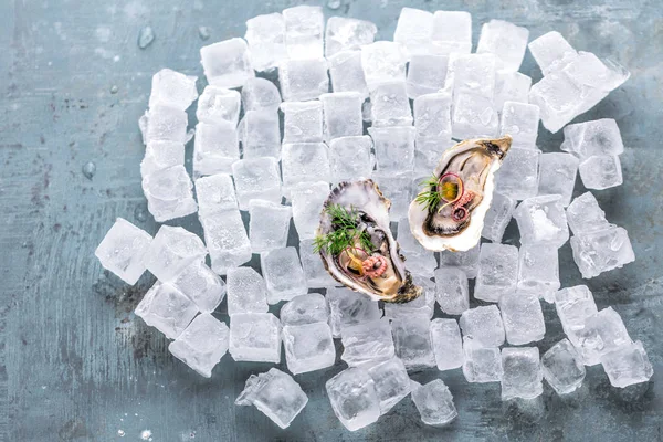 Fresh Raw Oysters Lemon Ice Cubes — Stock Photo, Image
