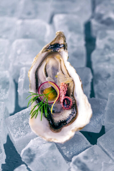 Fresh raw oysters and lemon on ice Cubes