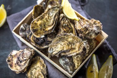 Taze çiğ istiridye, yakın çekim