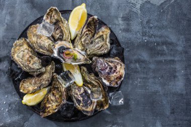 Taze çiğ istiridye, yakın çekim