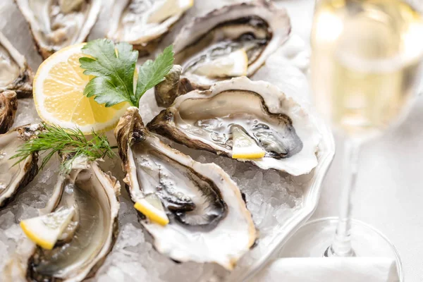 Beautiful Appetizer Oysters Two Glasses Wine Champagne — Stock Photo, Image