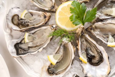 güzel meze istiridye iki kadeh şampanya şarap