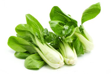 Pok choi beyaz zemin üzerine 