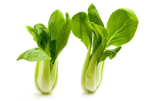 Pok Choi Sfondo Bianco — Foto Stock